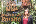 Avatar de alejandra.ruizg