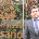 Avatar de fernando.castro